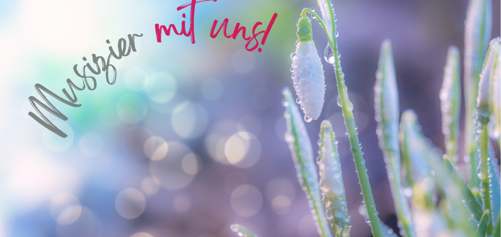 Herzlich Willkommen an der Evangelischen Musizierschule