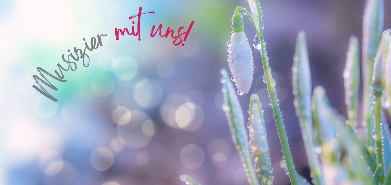 Herzlich Willkommen an der Evangelischen Musizierschule