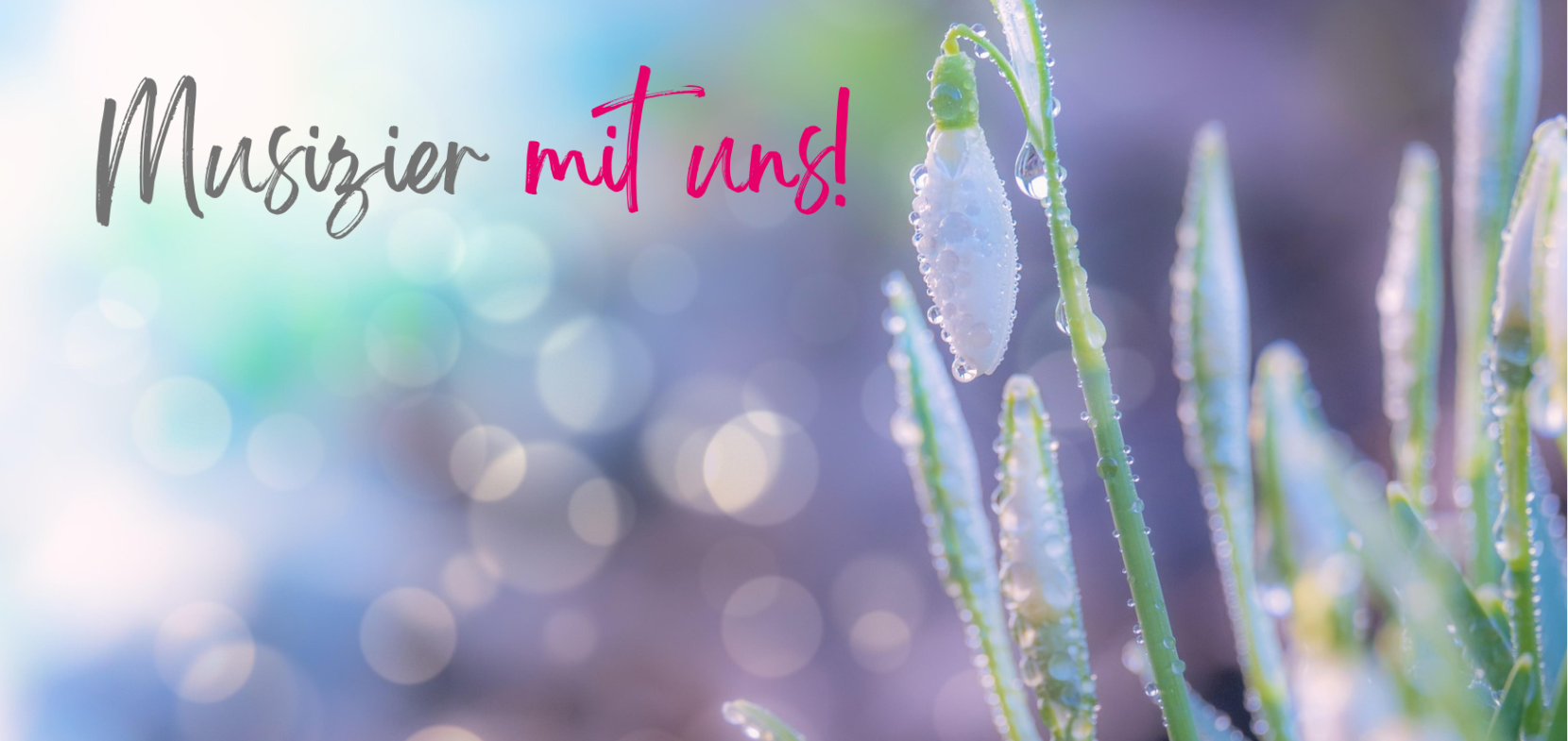 Herzlich Willkommen an der Evangelischen Musizierschule