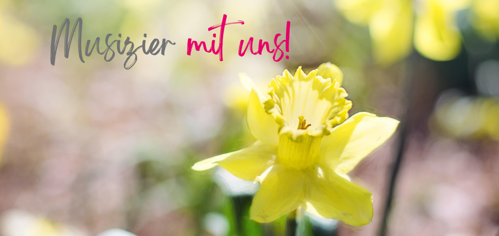 Herzlich Willkommen an der Evangelischen Musizierschule