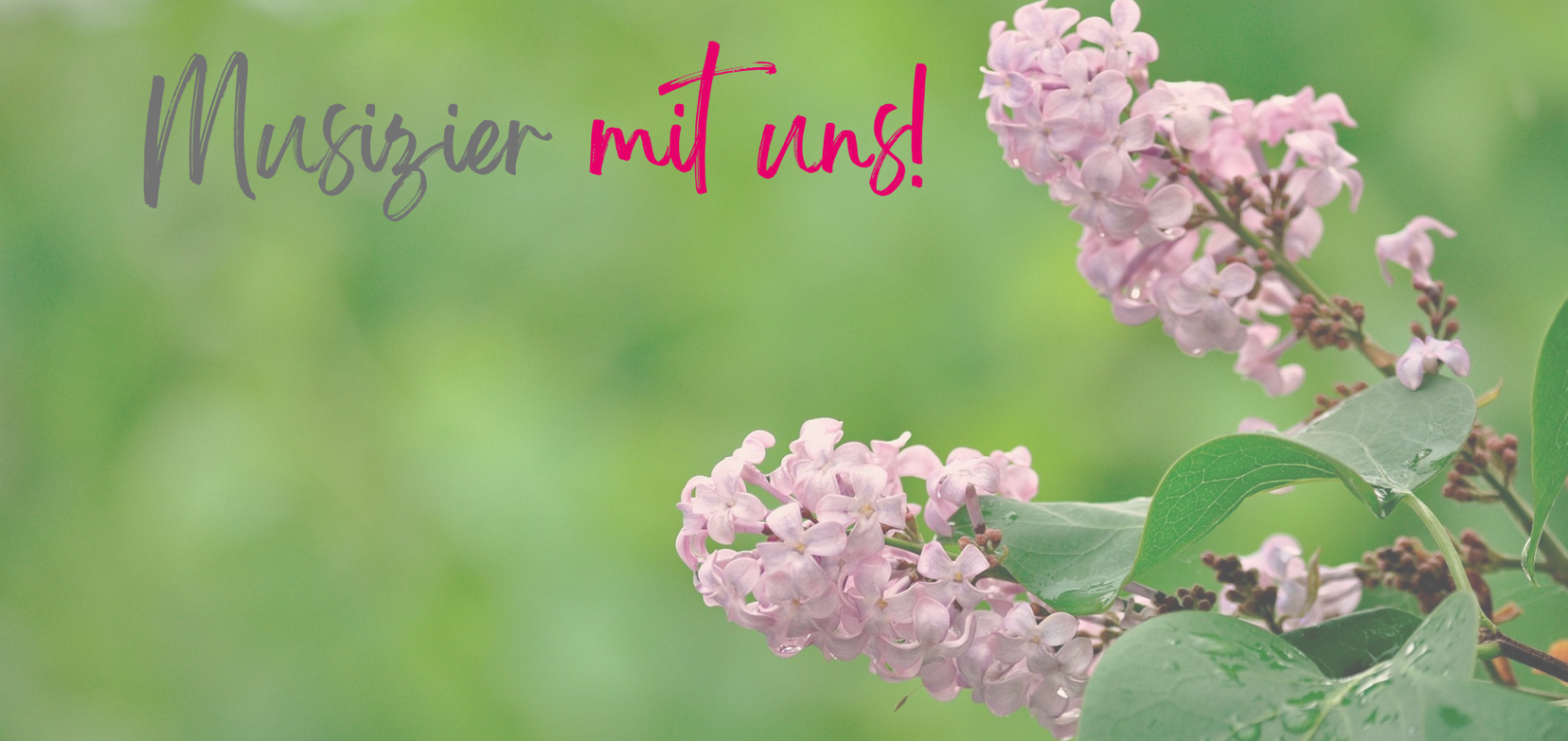 Herzlich Willkommen an der Evangelischen Musizierschule