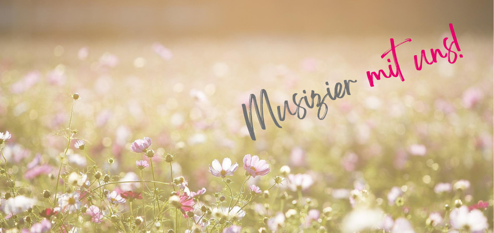 Herzlich Willkommen an der Evangelischen Musizierschule