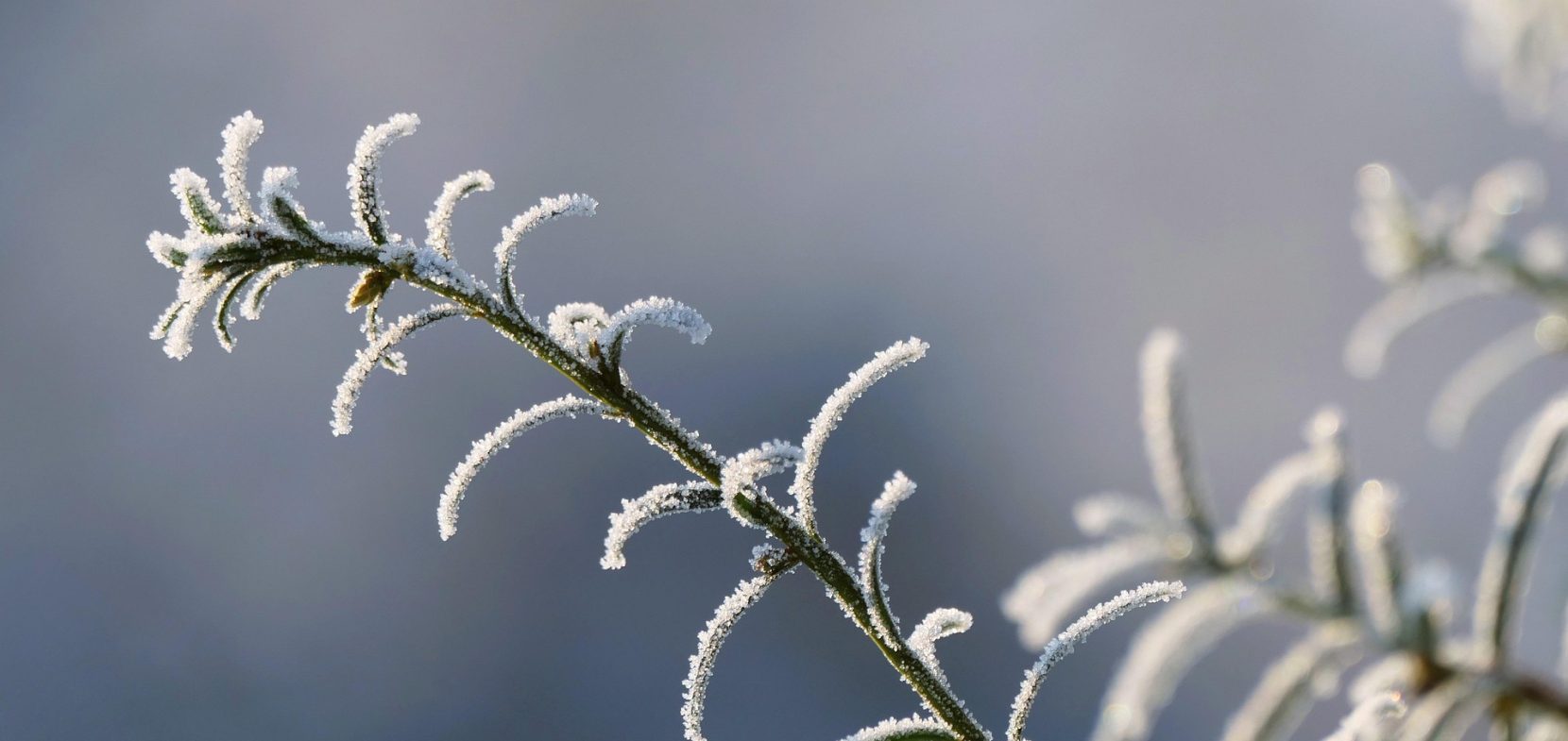 Herzlich Willkommen an der Evangelischen Musizierschule