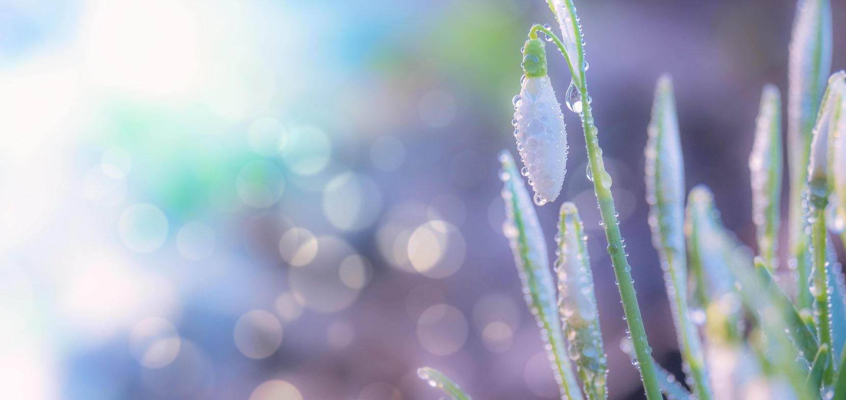 Herzlich Willkommen an der Evangelischen Musizierschule